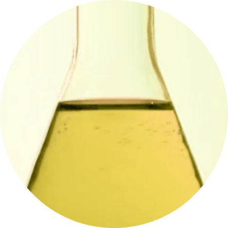 Circle image of Ceramides